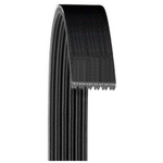 Order Serpentine Belt by DAYCO - A070810 For Your Vehicle